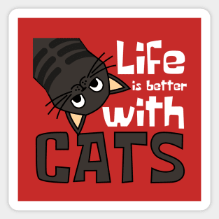 Life is Better Cats Funny Sticker